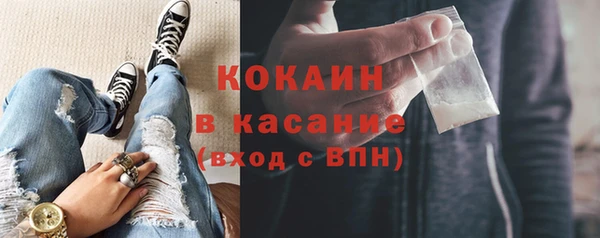 трава Белокуриха