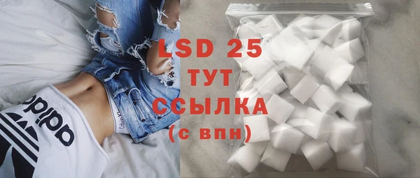 трава Белокуриха