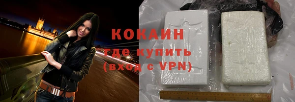трава Белокуриха