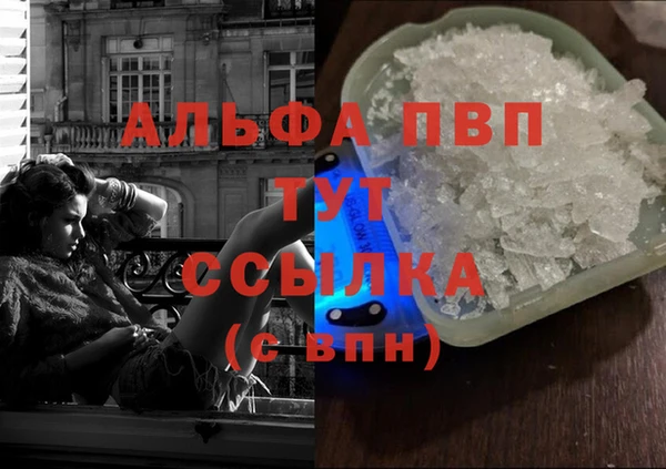 трава Белокуриха