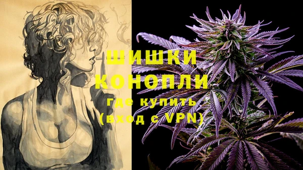трава Белокуриха