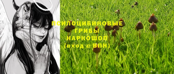 трава Белокуриха