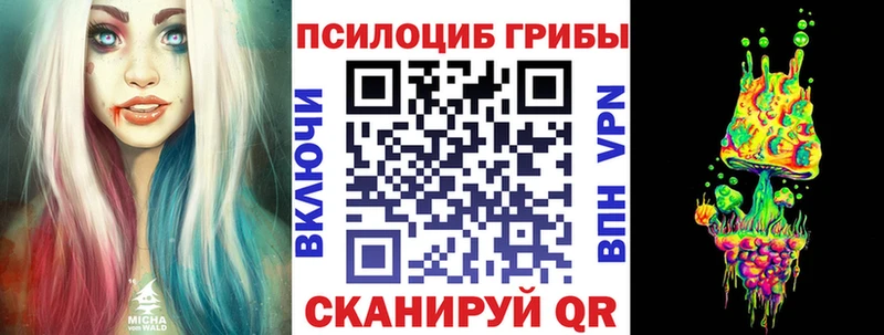 Псилоцибиновые грибы Psilocybine cubensis  Озёрск 
