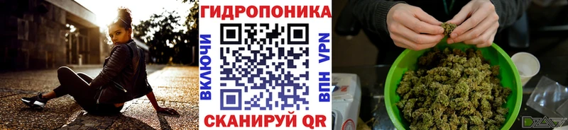 OMG зеркало Озёрск Канабис планчик